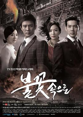 塘厦网站seo优化价格